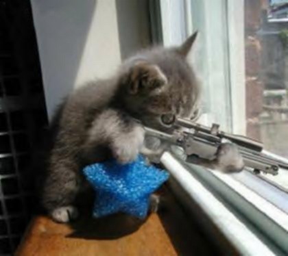 Kitty-Cat sniper